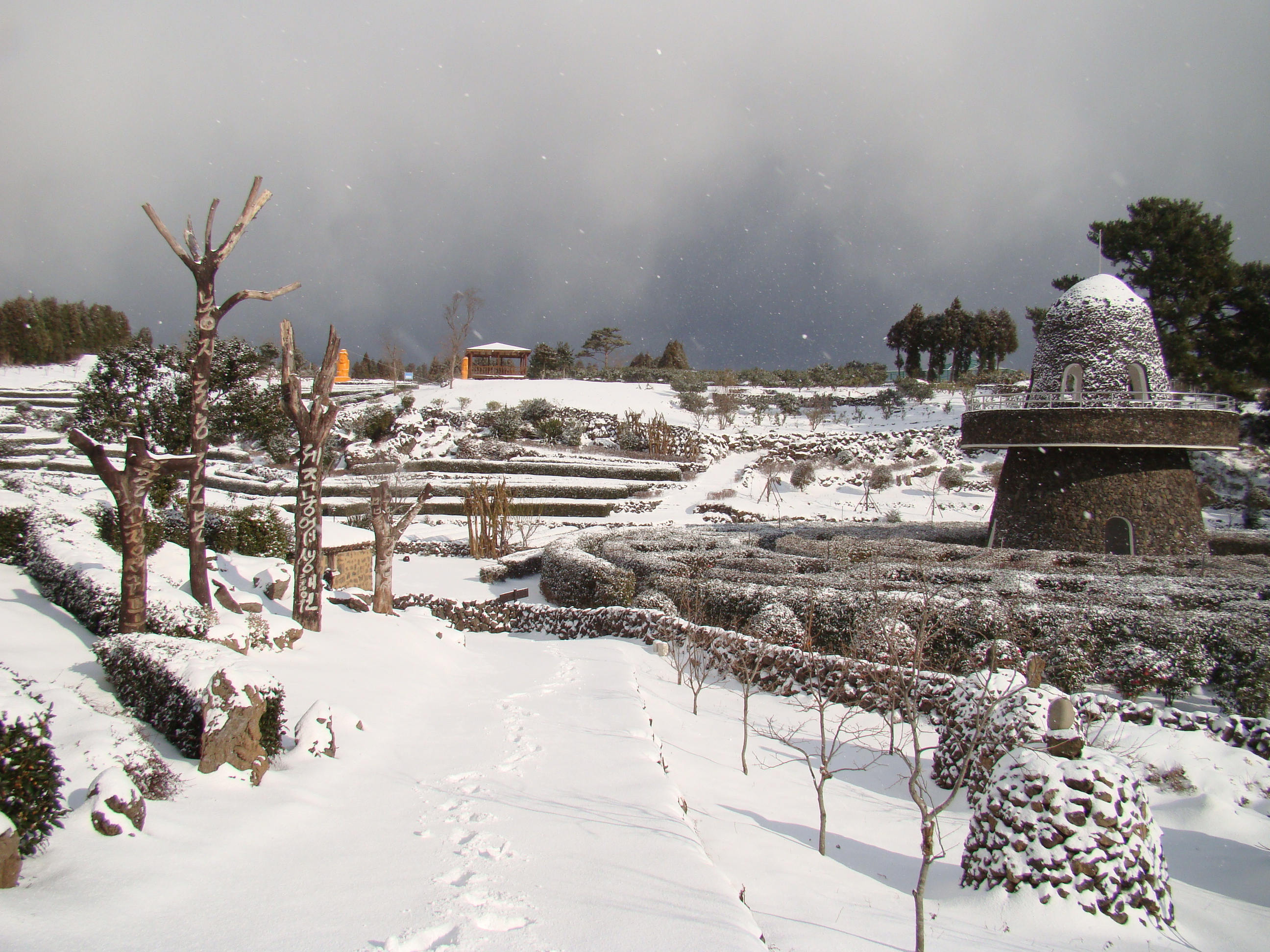 서귀포농업기술센터 겨울사진입니다. 서귀포에도 이렇게 눈이 내리네요!!!